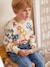 Printed Sweatshirt-Style Top for Boys aqua green+ecru+ochre 