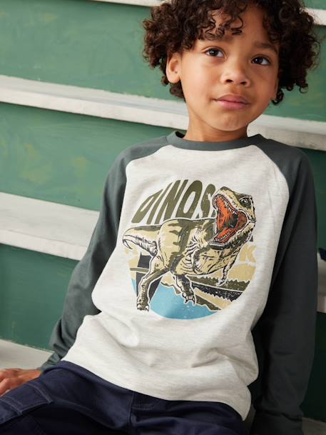 Top with Graphic Motif & Raglan Sleeves for Boys BLUE MEDIUM SOLID WITH DESIGN+lichen+marl grey+pecan nut+slate blue 