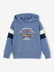 Hoodie with Graphic Motif & Colourblock Sleeves for Boys