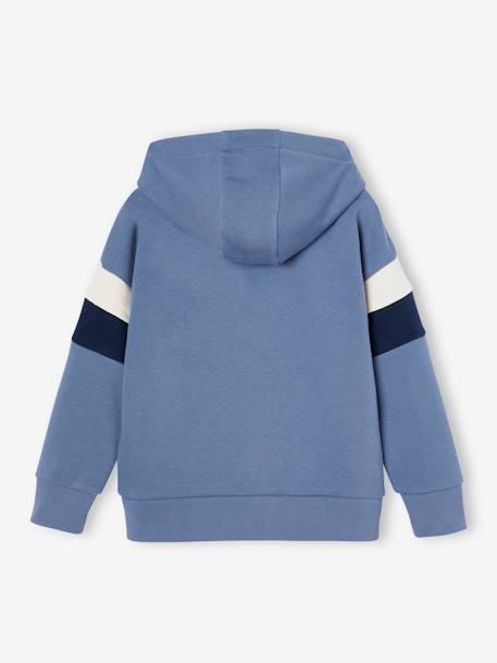 Hoodie with Graphic Motif & Colourblock Sleeves for Boys grey blue+lichen+marl white+mauve+ochre 