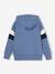 Hoodie with Graphic Motif & Colourblock Sleeves for Boys grey blue+lichen+marl white+mauve 