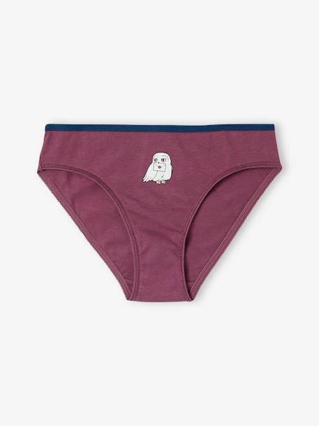 Pack of 7 Harry Potter® Briefs for Girls plum 