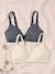 Pack of 2 Padded Bras in Stretch Cotton, Maternity & Nursing Special GREY DARK MIXED COLOR+navy blue+WHITE LIGHT SOLID 