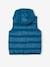 Hooded Colourblock Bodywarmer for Boys electric blue+navy blue+peacock blue 