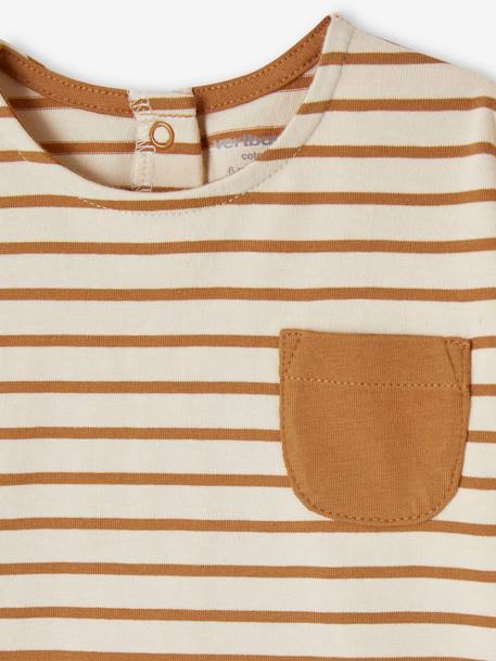 Striped Long Sleeve Top, for Babies pecan nut+striped blue+striped green 