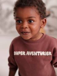 Baby-Jumpers, Cardigans & Sweaters-Sweatshirt for Baby Boys