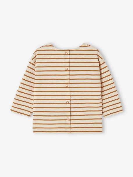 Striped Long Sleeve Top, for Babies pecan nut+striped blue+striped green 