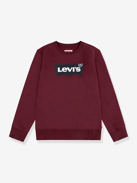 Batwing Crewneck Sweatshirt by Levi's® for Boys brown 