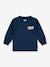 Critter Hiking Icons Sweatshirt by LEVI'S® for Babies blue 