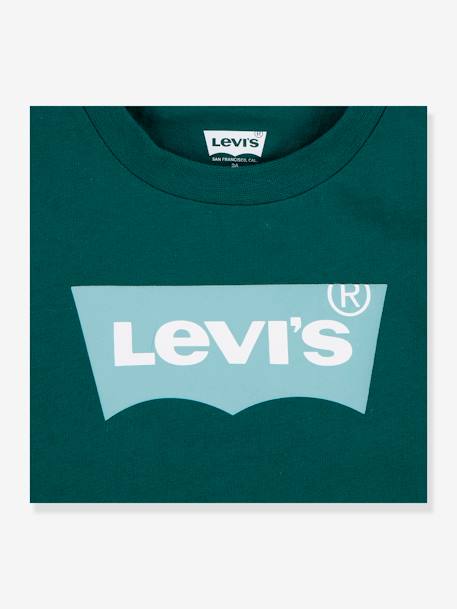 Batwing T-Shirt by LEVI'S® for Boys fir green 