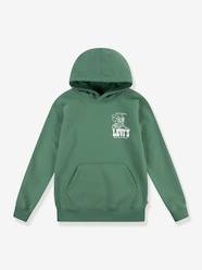 LVB Lasso it up Hoodie LEVI'S KID'S