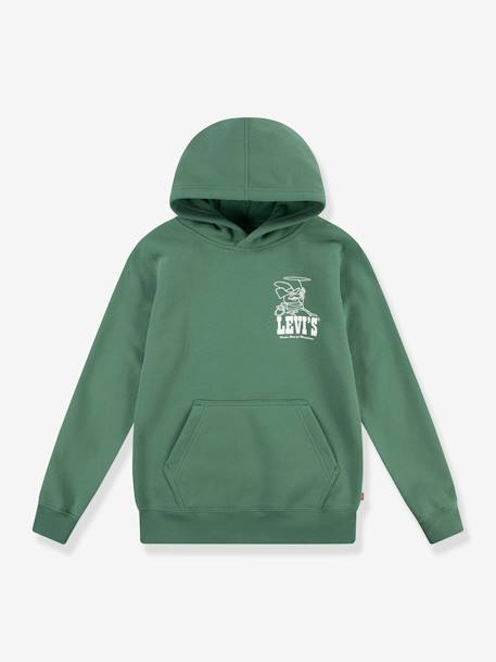 LVB Lasso it up Hoodie LEVI'S KID'S green 