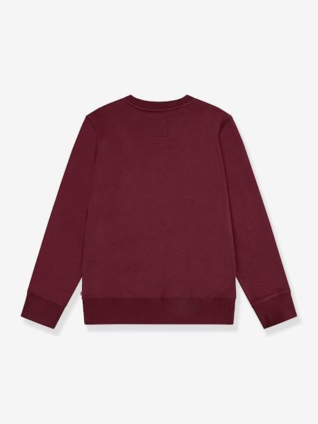 Batwing Crewneck Sweatshirt by Levi's® for Boys brown 