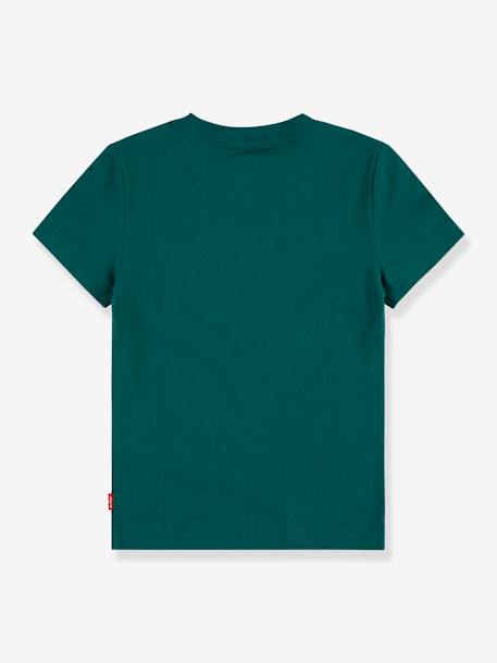 Batwing T-Shirt by LEVI'S® for Boys fir green 