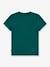 Batwing T-Shirt by LEVI'S® for Boys fir green 