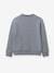 CYRILLUS 'Skate' boys' sweatshirt marl grey 