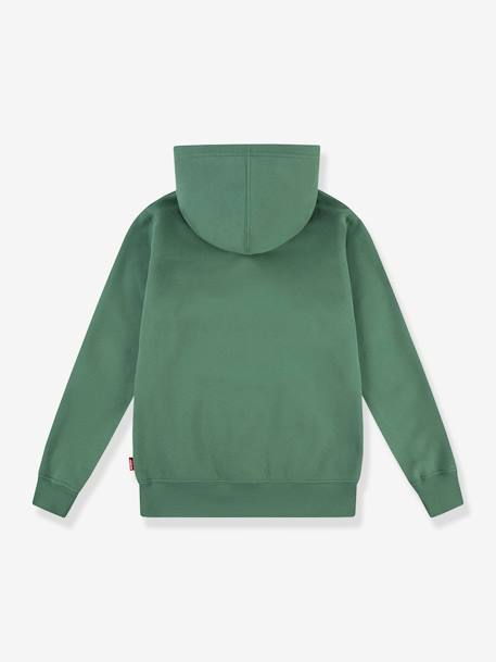 LVB Lasso it up Hoodie LEVI'S KID'S green 