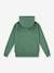 LVB Lasso it up Hoodie LEVI'S KID'S green 