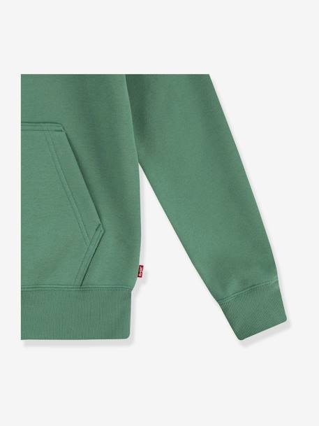 LVB Lasso it up Hoodie LEVI'S KID'S green 