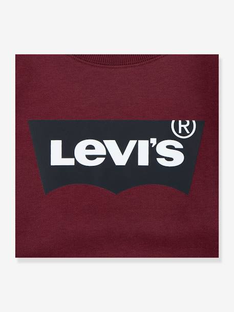 Batwing Crewneck Sweatshirt by Levi's® for Boys brown 