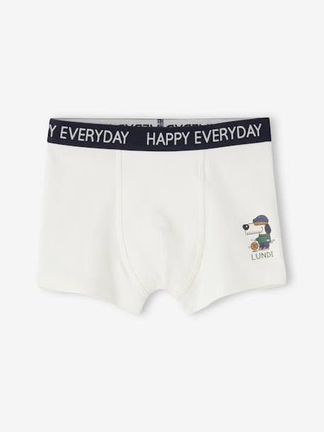 Pack of 7 Boxer Shorts with Fun Motif, for Boys marl grey 