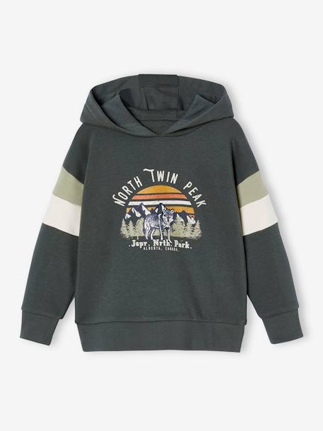 Hoodie with Graphic Motif & Colourblock Sleeves for Boys grey blue+lichen+marl white+mauve 