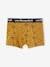 Pack of 5 Stretchy Boxer Shorts for Boys ecru 