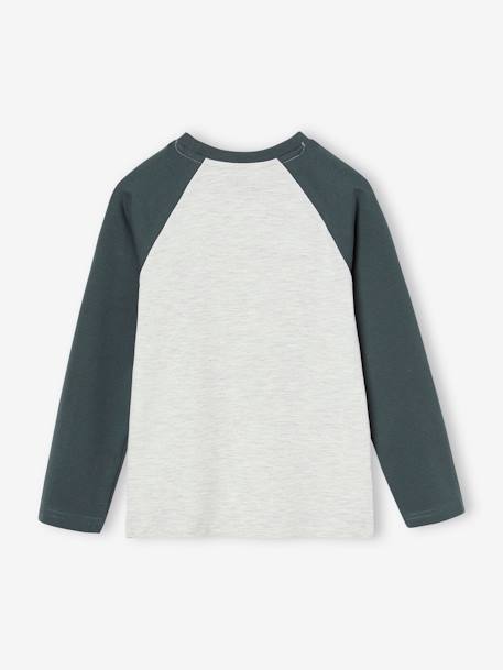 Top with Graphic Motif & Raglan Sleeves for Boys BLUE MEDIUM SOLID WITH DESIGN+lichen+marl grey+pecan nut+slate blue 