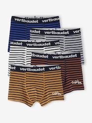 Boys-Underwear-Pack of 5 Striped Boxer Shorts for Boys