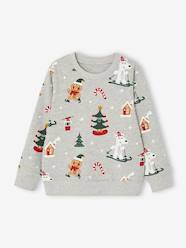 Christmas Special Sweatshirt with Fun Motifs for Boys