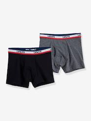 Boys-Underwear-Pack of 2 Sportswear Logo LEVI'S KID'S boxers