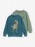 Pack of 2 BMX Sweatshirts for Boys petrol blue 