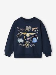 Boys-Cardigans, Jumpers & Sweatshirts-Sweatshirts & Hoodies-HARRY POTTER® boys' sweatshirt