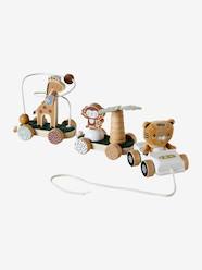 Toys-Baby & Pre-School Toys-Activity Train in FSC® Wood - Tanzania