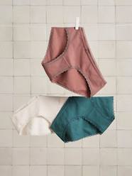 Maternity-Lingerie-Knickers & Shorties-Pack of 3 Briefs in Organic Cotton for Maternity