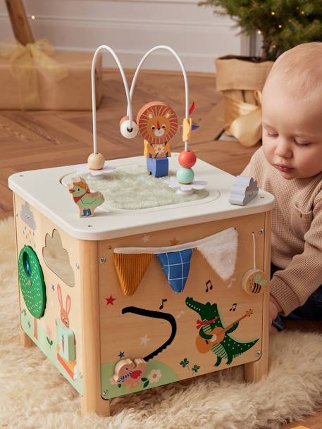 Sensory Activity Cube in FSC® Wood wood 