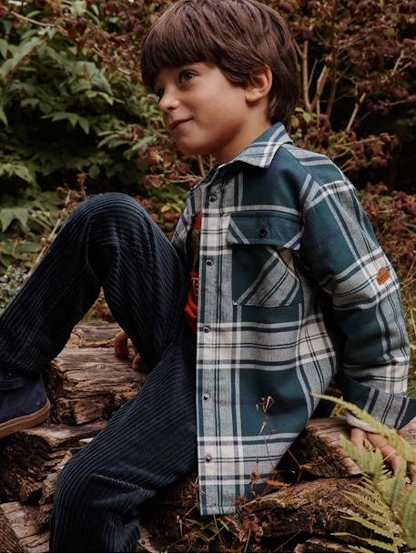 Sherpa-Lined Chequered Shirt for Boys chequered green 