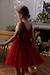 Christmas Special Dress in Velour & Sparkling Tulle for Girls red 