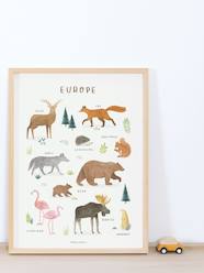 Bedding & Decor-Decoration-Wall Décor-Animals of Europe Poster, Living Earth by LILIPINSO