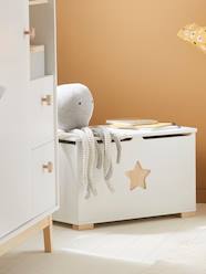 -Toy Trunk, Sirius Theme