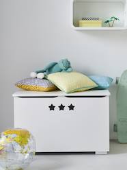 Bedroom Furniture & Storage-Storage-Storage Chests-Storage Chest, Sirius Theme