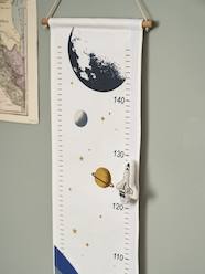 -Rocket Growth Chart in Fabric