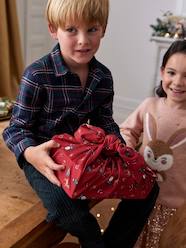 Boys-Shirts-Christmas Special Chequered Shirt in Flannel for Boys