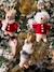 Pack of 3 Hanging Characters, Father Christmas's Friends red 