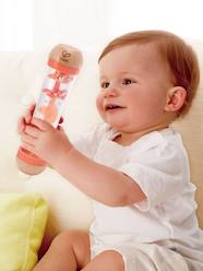 Toys-Baby & Pre-School Toys-Early Learning & Sensory Toys-Rainstick by HAPE