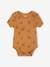 Pack of 3 short-sleeved Safari bodysuits camel 