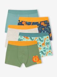 Boys-5 pack of Jungle stretch boxer shorts for boys