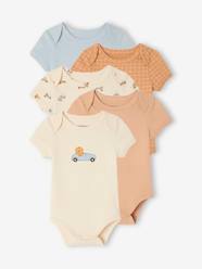 5-pack of short-sleeved baby bodysuits