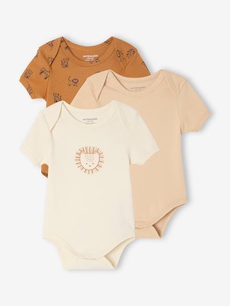 Pack of 3 short-sleeved Safari bodysuits camel 