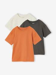 Boys-Tops-Pack of 3 plain boys' t-shirts - BASICS